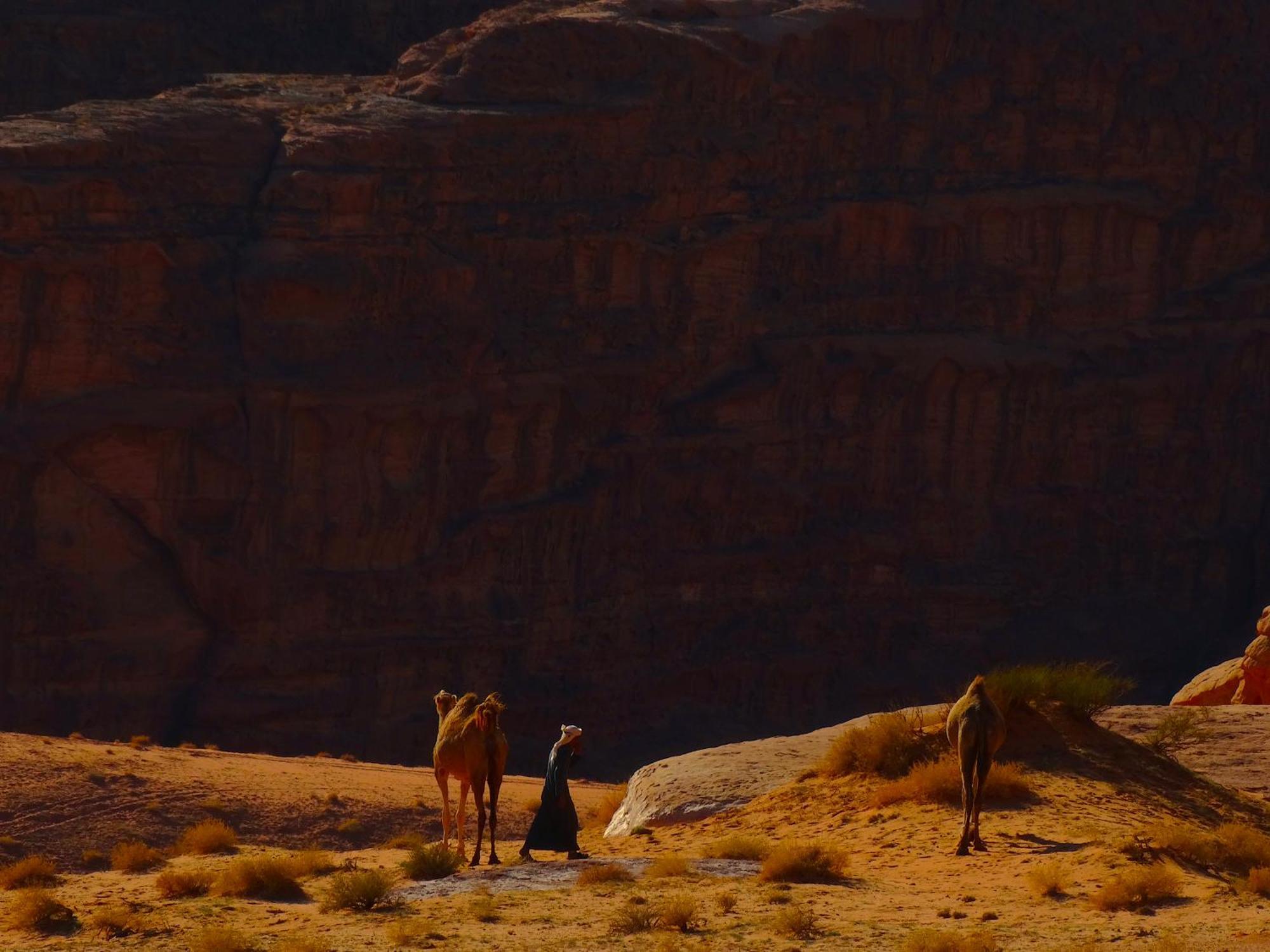Wadi Rum View Camp Kültér fotó