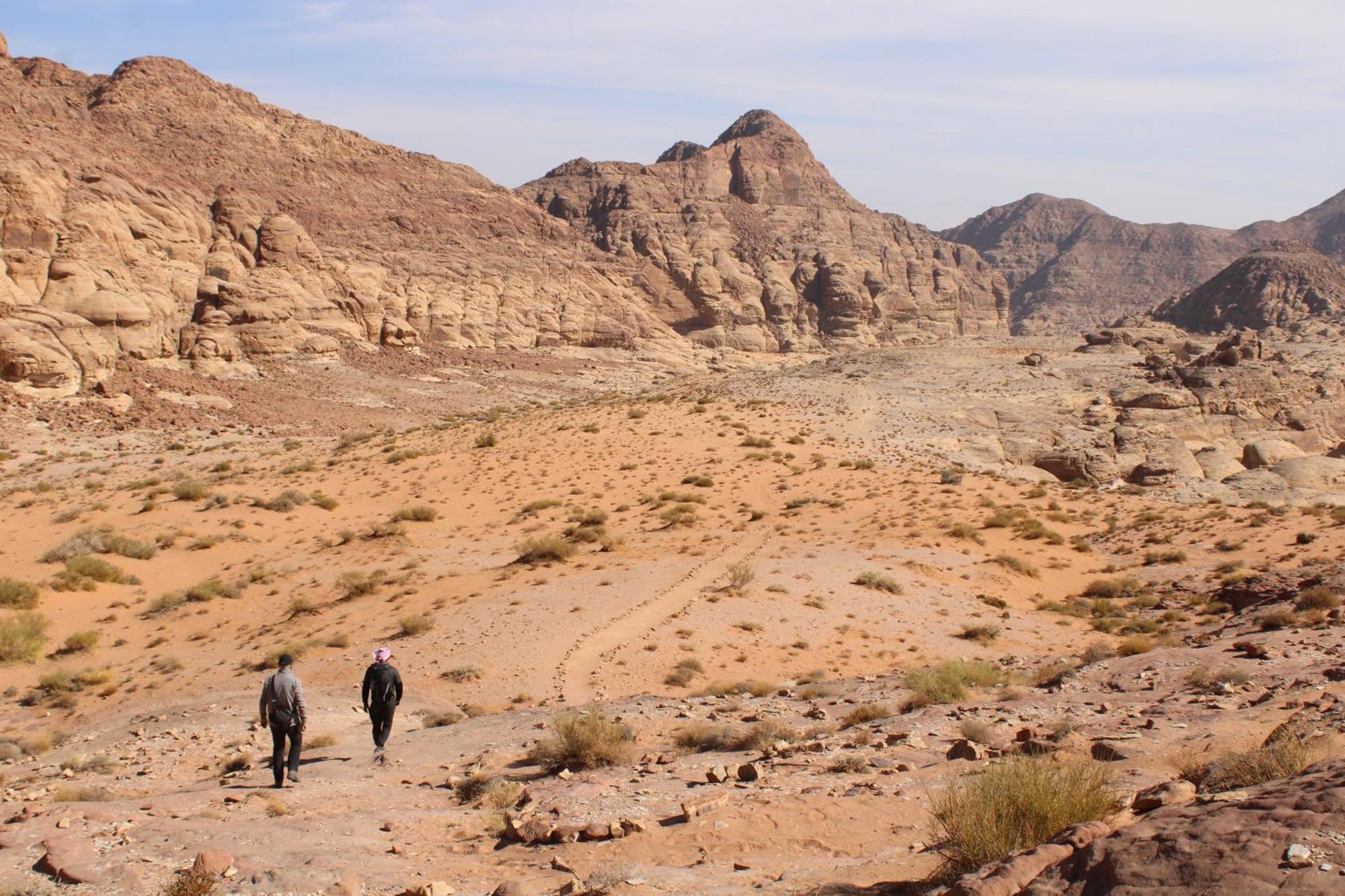 Wadi Rum View Camp Kültér fotó